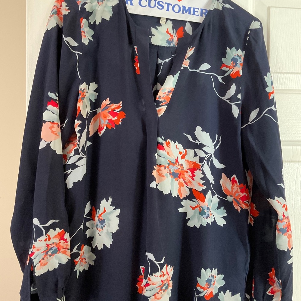 Joie tunic blouse
